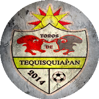 Logo Toros de Tequisquiapan